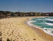 views of a beach near sydney