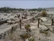 The Battle of Badr remains just outside of Masjid Al Areesh approx 145 kilometres from Madinah, one of the most famous battles of islamic history cheapflightsia the online website tool which will help you in finding cheap flights to Madinah
