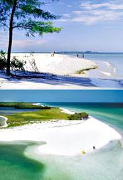 palm beach florida - cheapflightsia helps finding cheap flights to palm beach